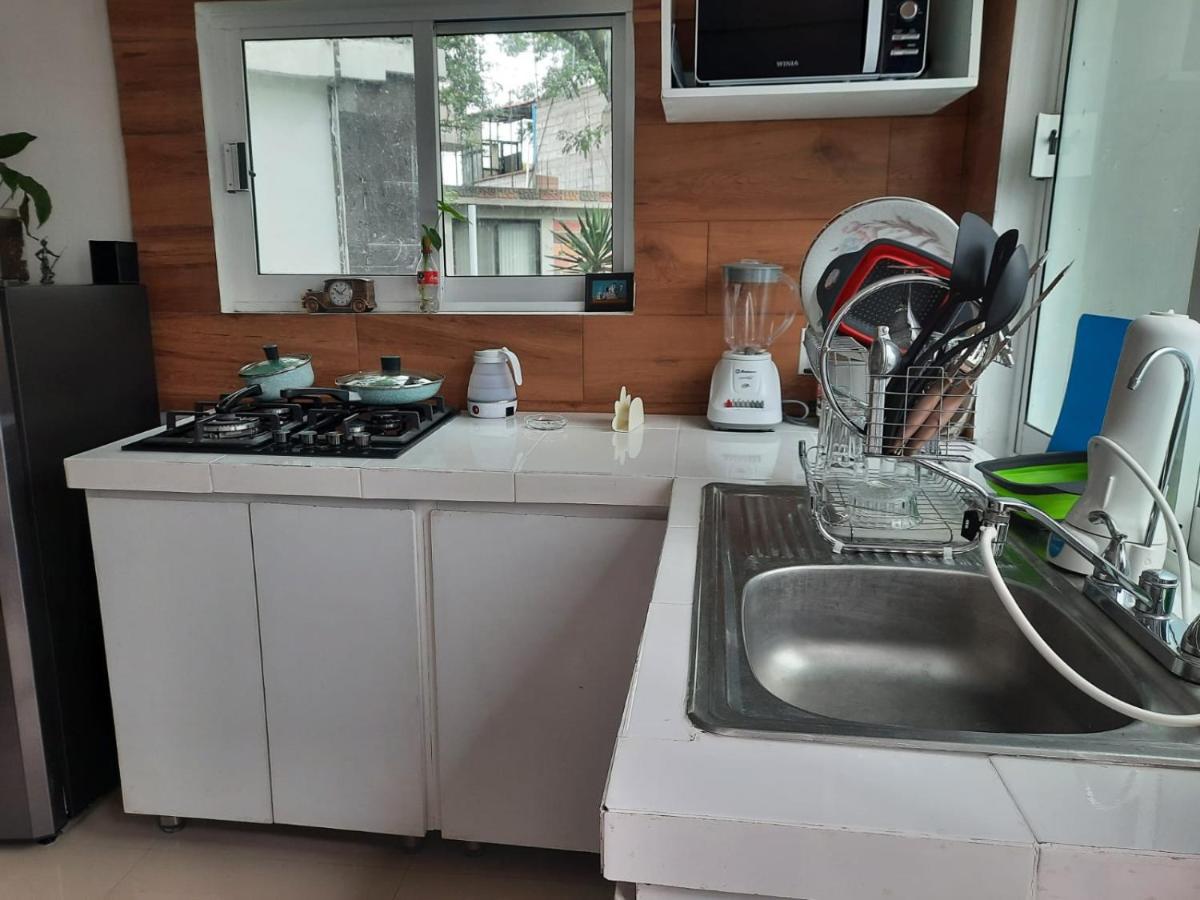 Coyoacan Magico Mexico City Ngoại thất bức ảnh