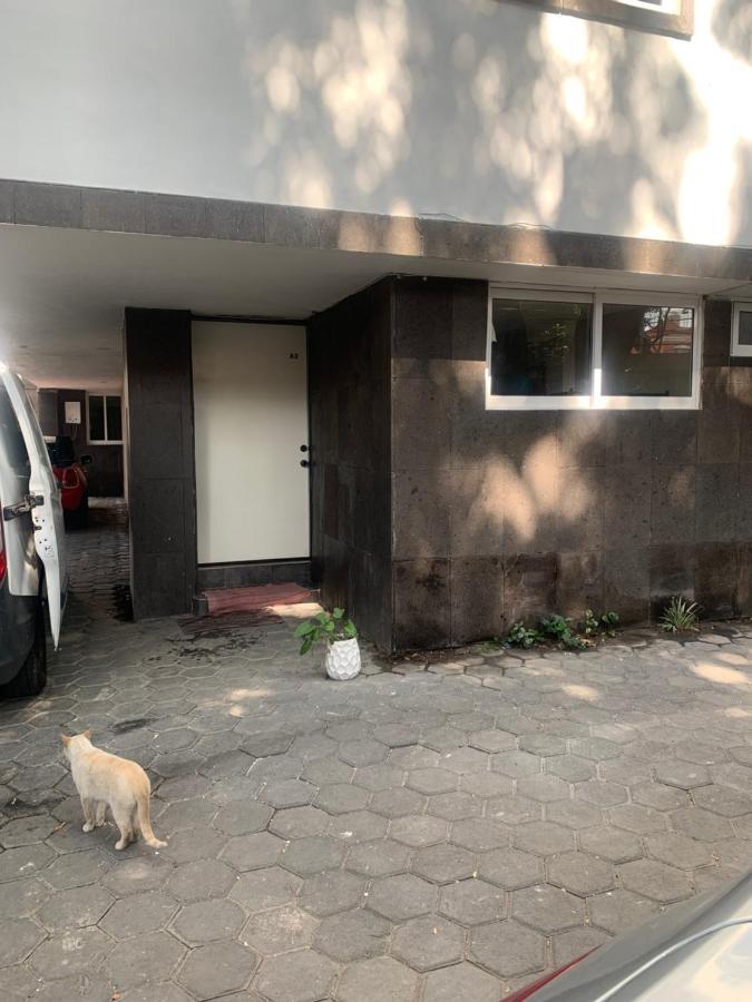 Coyoacan Magico Mexico City Ngoại thất bức ảnh