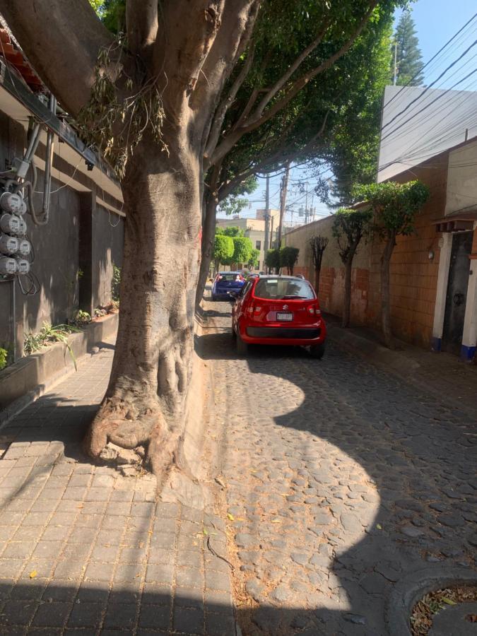 Coyoacan Magico Mexico City Ngoại thất bức ảnh